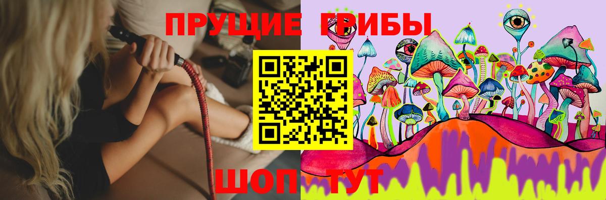 Новый Уренгой  Галлюциногенные грибы Psilocybe  Вход с VPN 